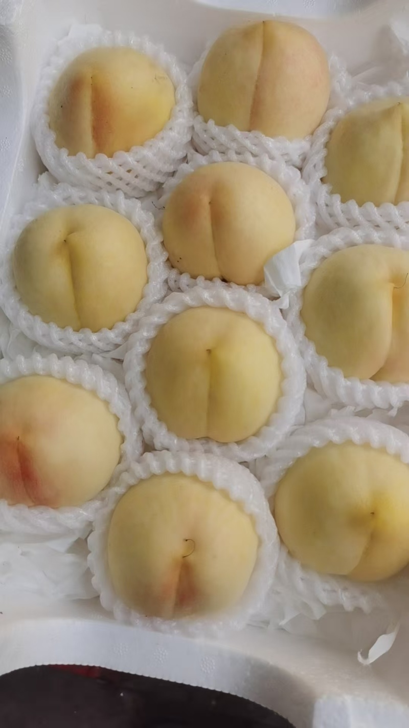 正宗新沂水蜜桃