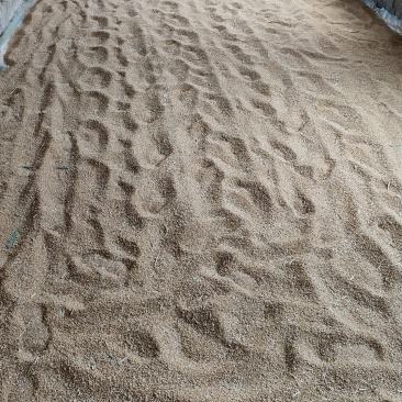 小麦