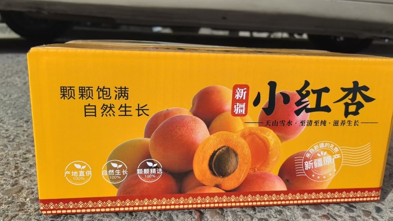 新疆特产小红杏