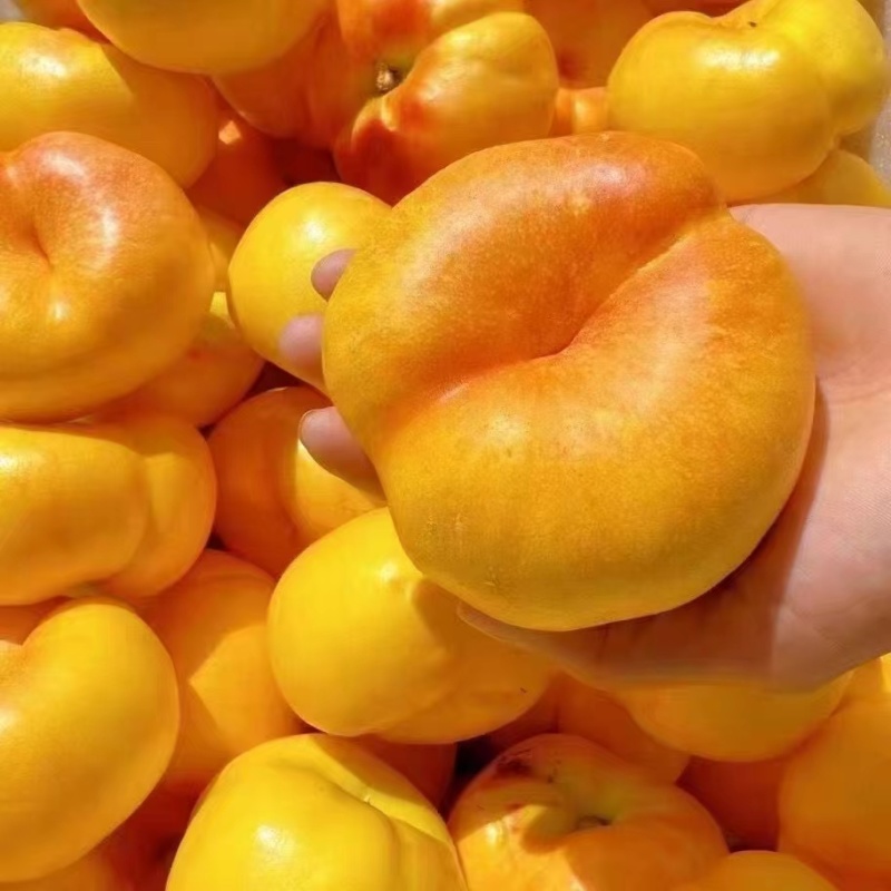 沂蒙油桃