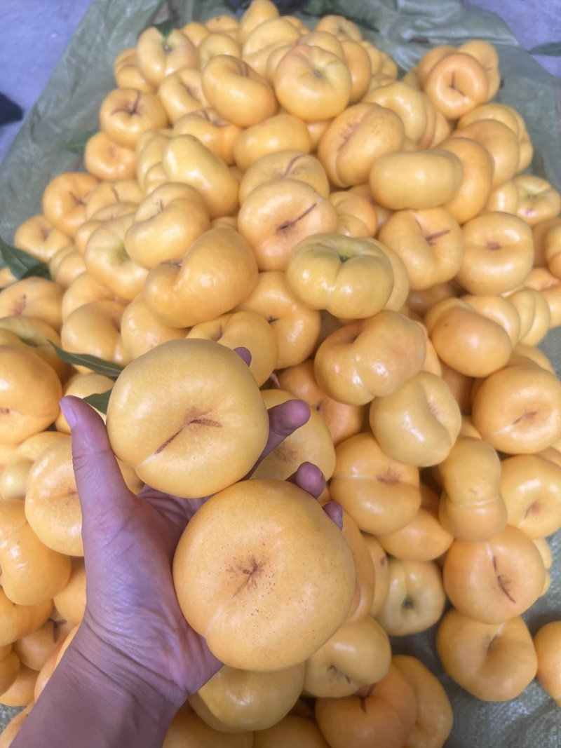 山东蒙阴桃子🍑🍑
