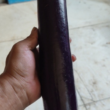 农副产品(紫棒茄子)