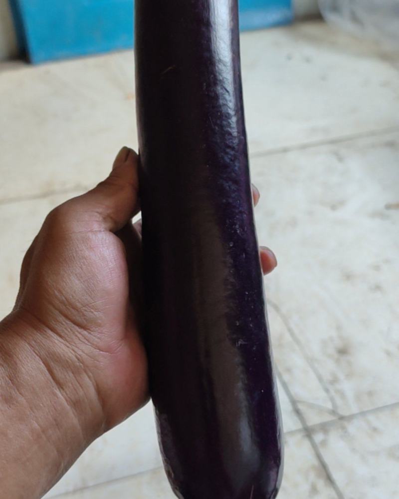 农副产品(紫棒茄子)