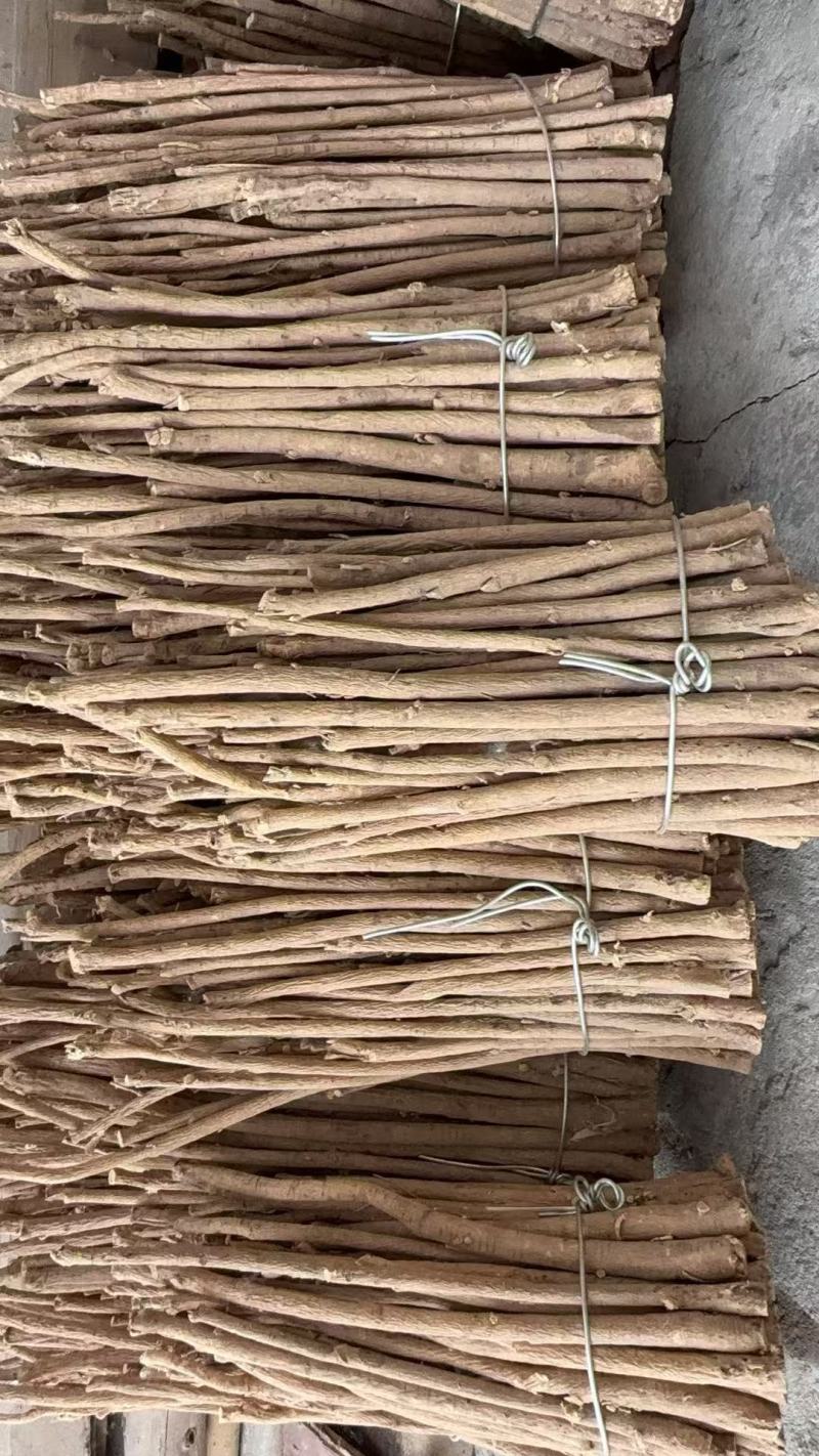 岷县中药材出售