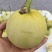 头茬甜瓜
