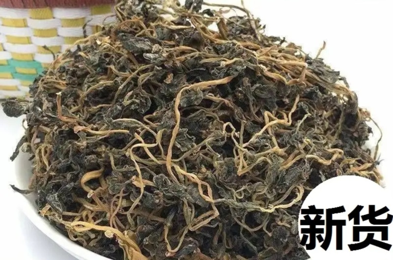 干马齿笕