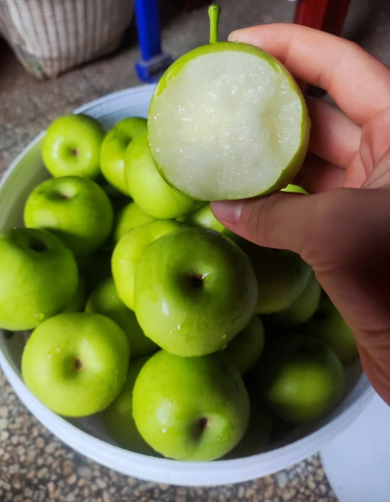 梨