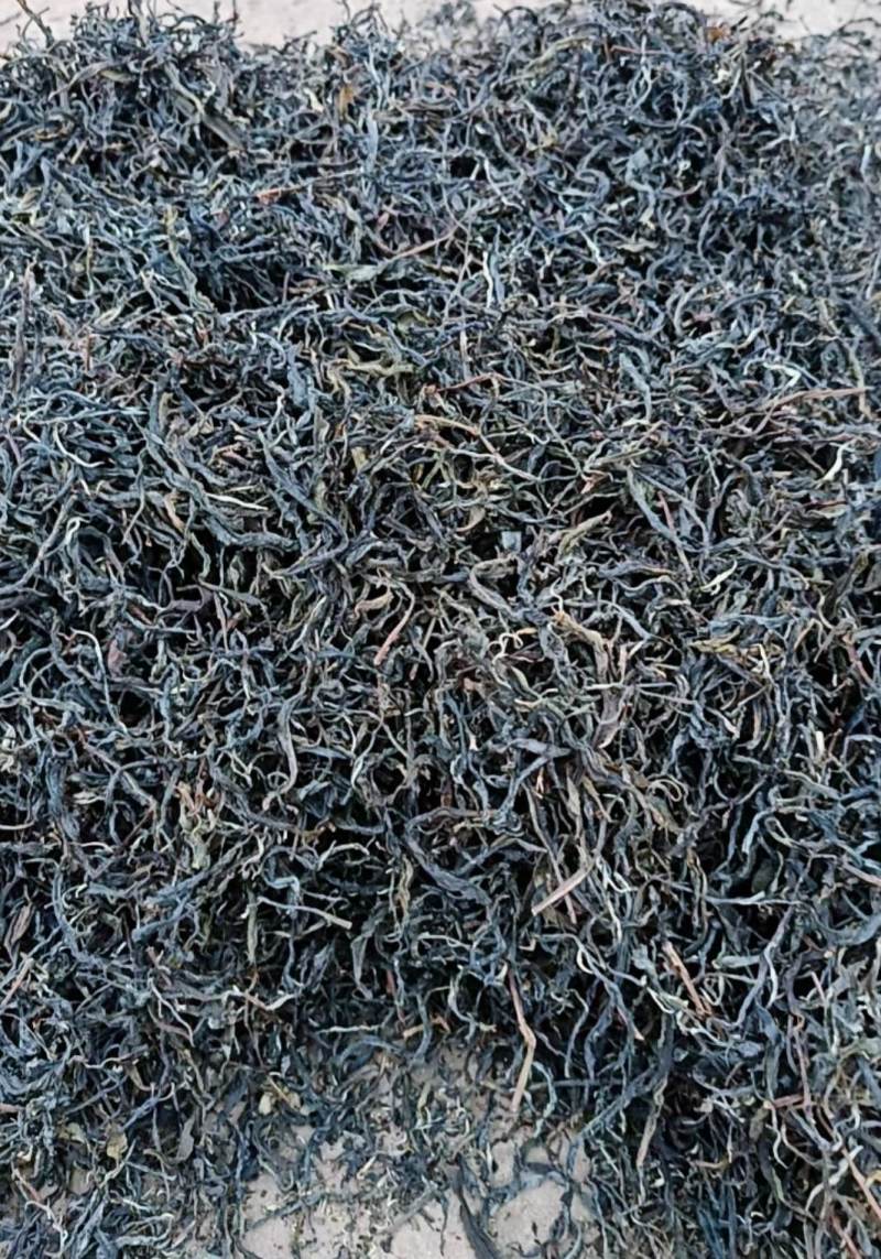 普洱生态茶