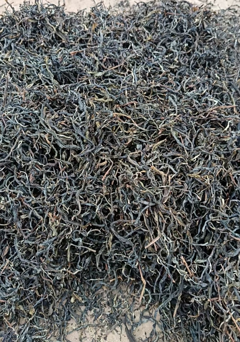 普洱生态茶