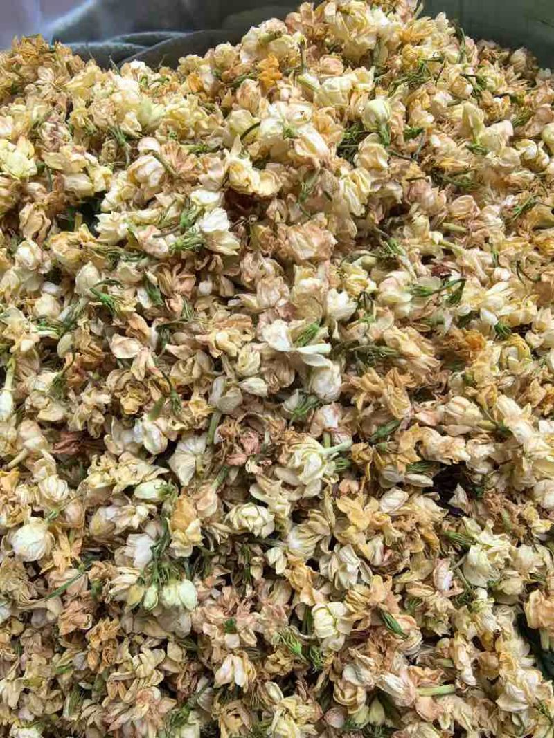 横县直营茉莉花干