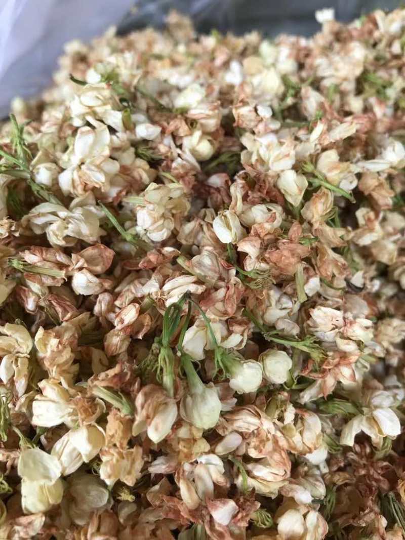 横县直营茉莉花干