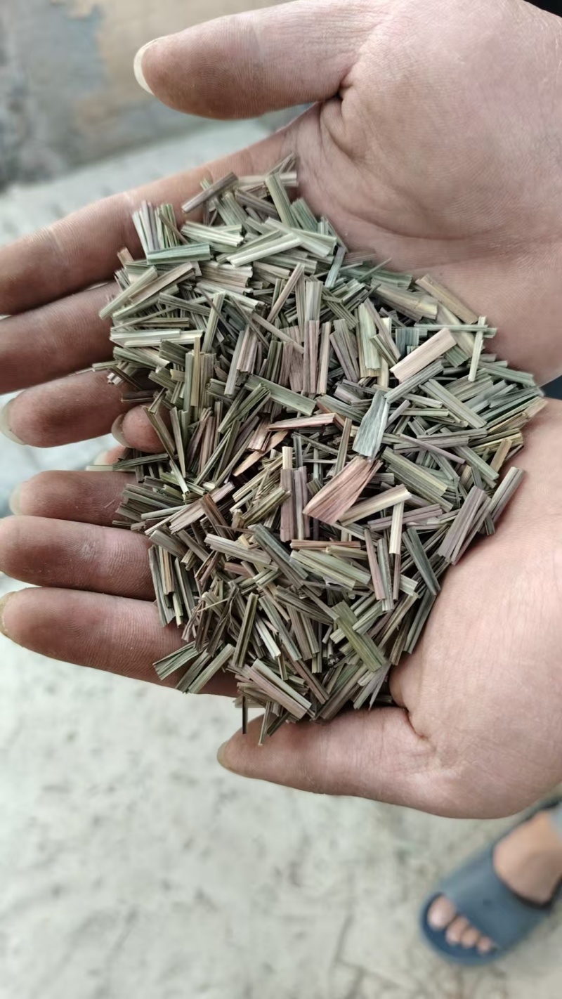 香茅草干