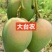 百色田东县芒果