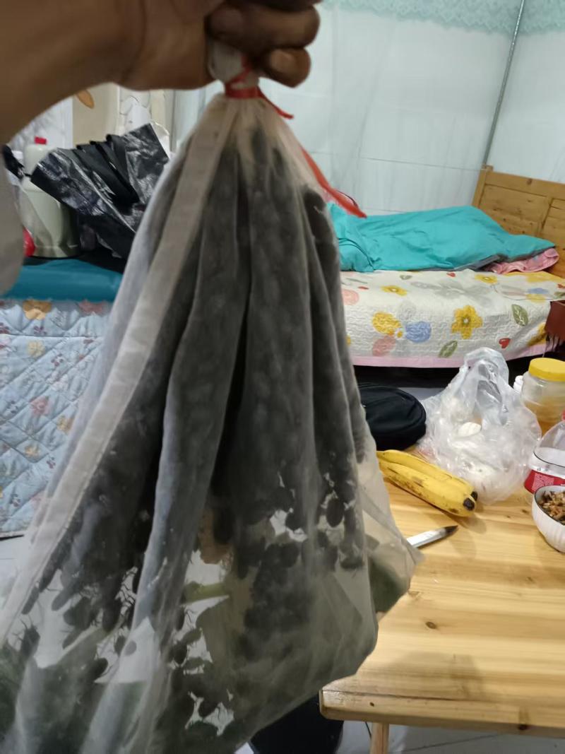九香虫鲜货