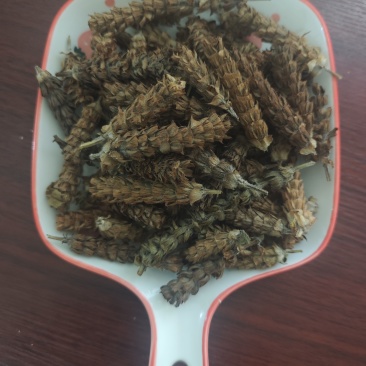 夏枯草