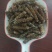 夏枯草