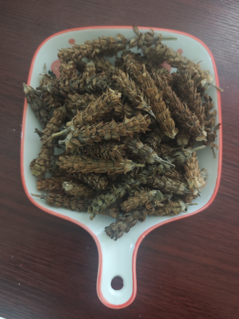 夏枯草