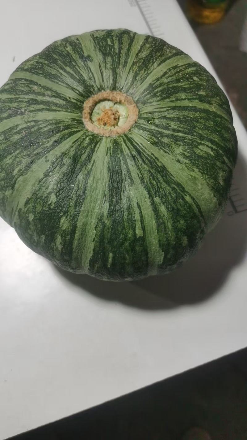 板栗南瓜