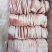 千喜鹤老日期3号肉片18200猪短尾37300