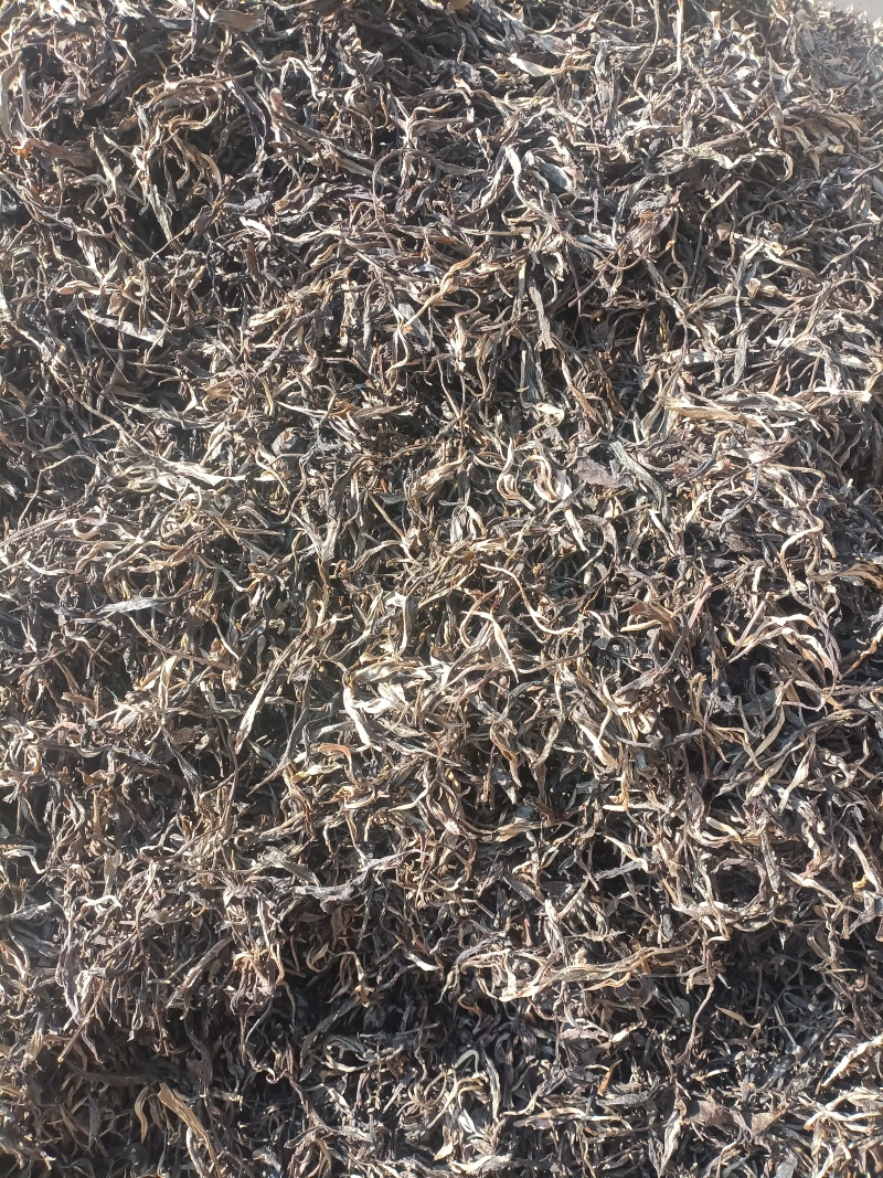 易武古树茶