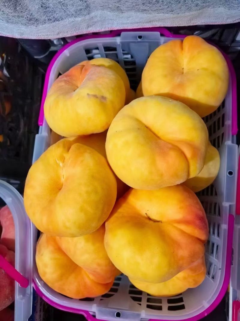 黄金毛蟠桃，黄金蜜桃，纽扣奶油蟠桃