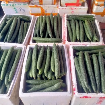 青瓜