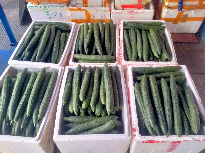 青瓜