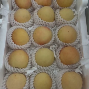 江苏踢球山水蜜桃