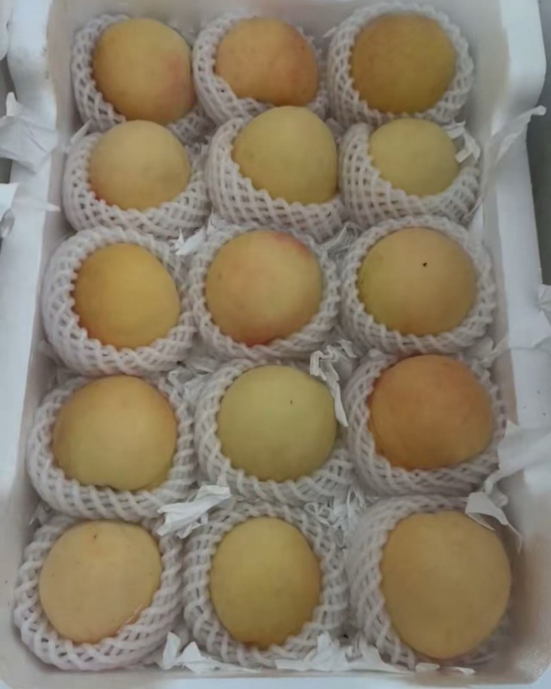江苏踢球山水蜜桃