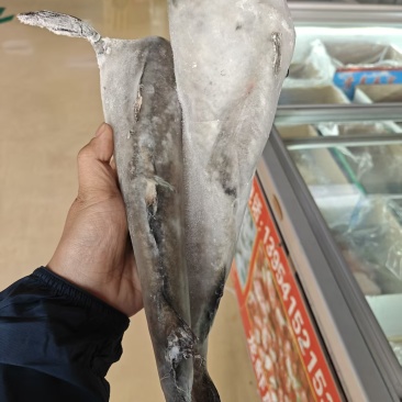 鳕鱼