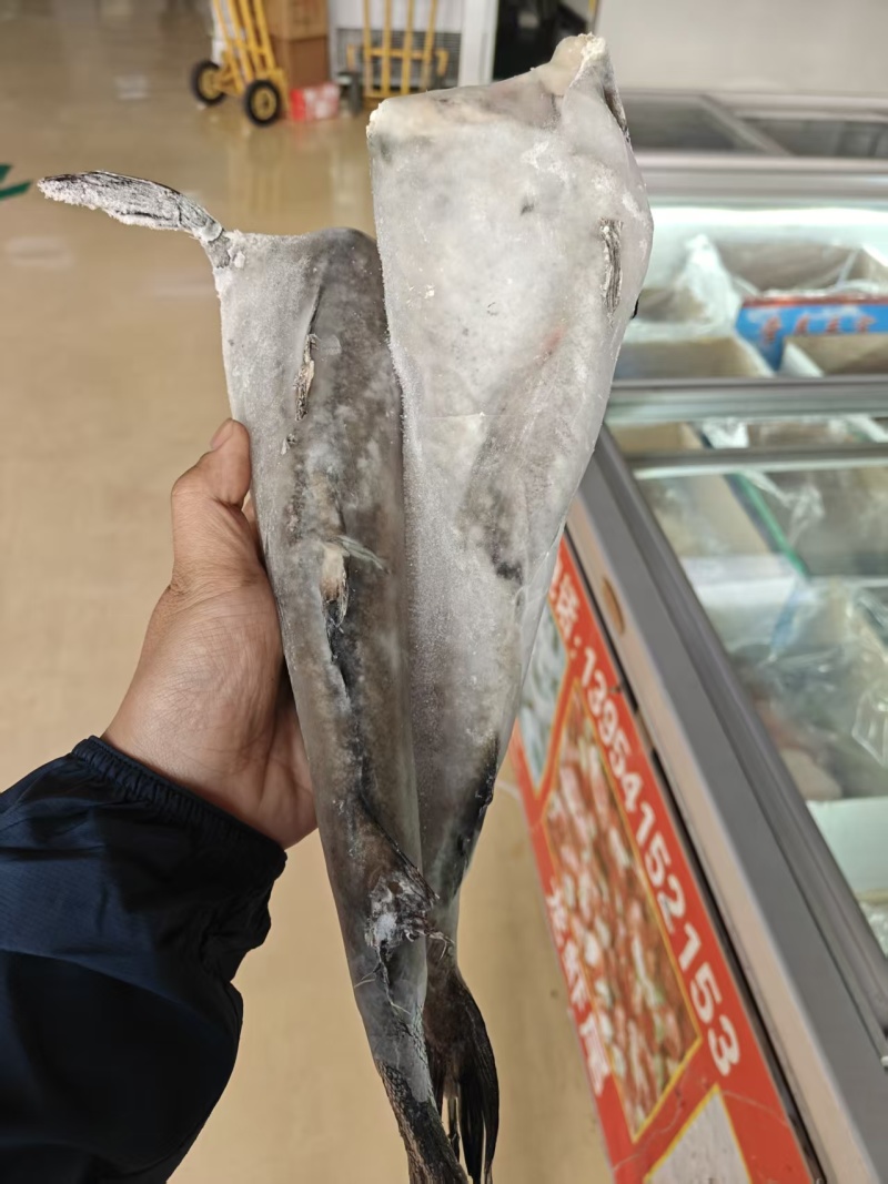 鳕鱼