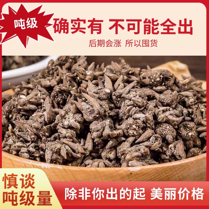 非提取货无熏硫信阳淮滨猫爪草