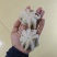翻花小章鱼
