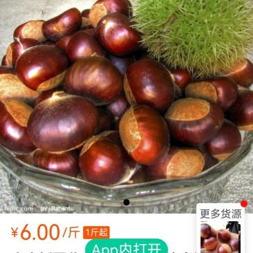 板栗