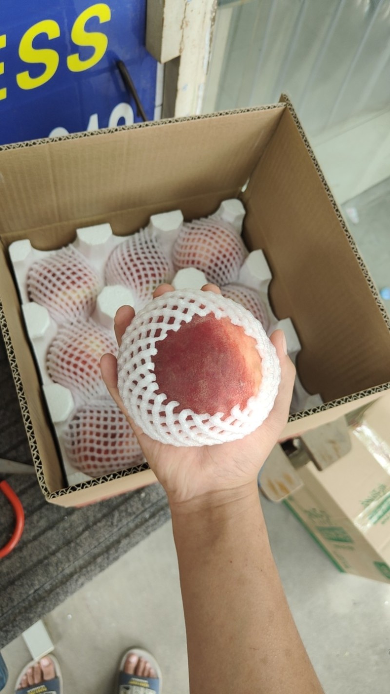 陕西省渭南市夏之梦水蜜桃