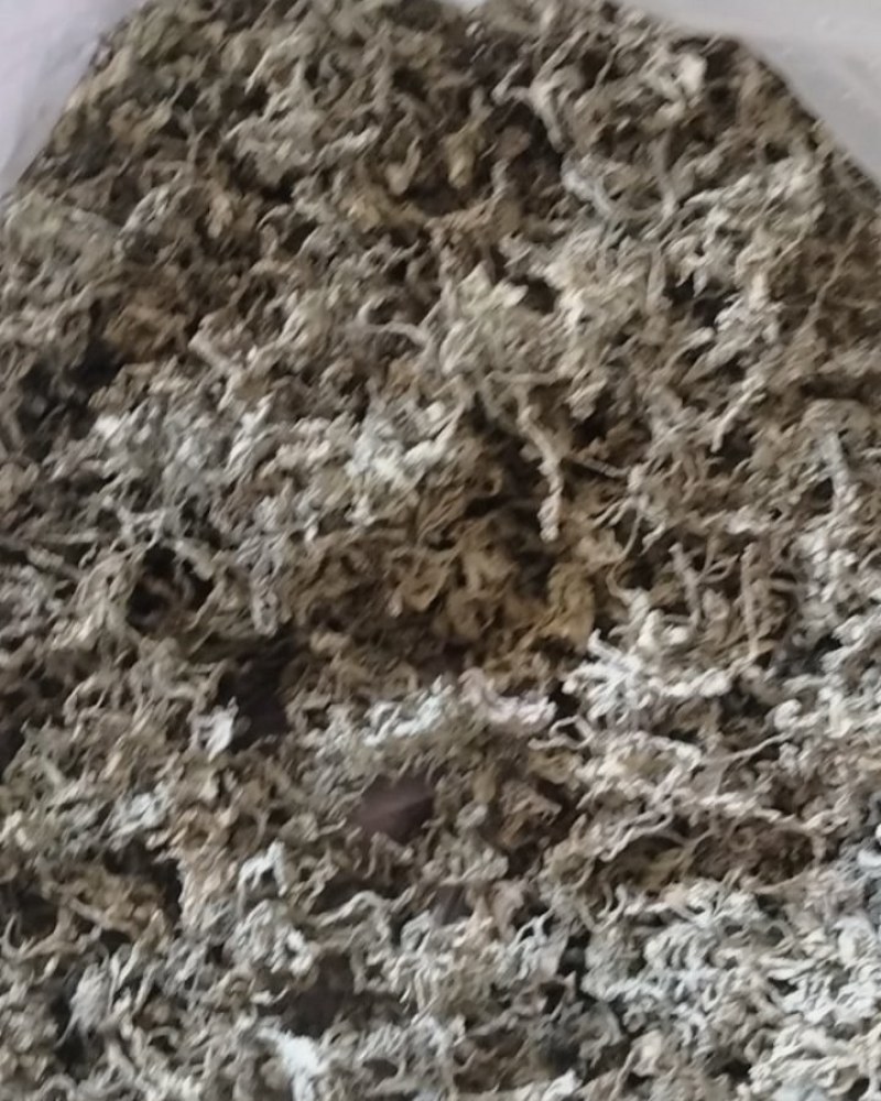 永顺莓茶