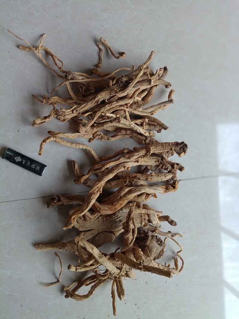 甘肃中药材防风