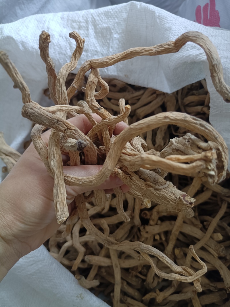 甘肃中药材防风