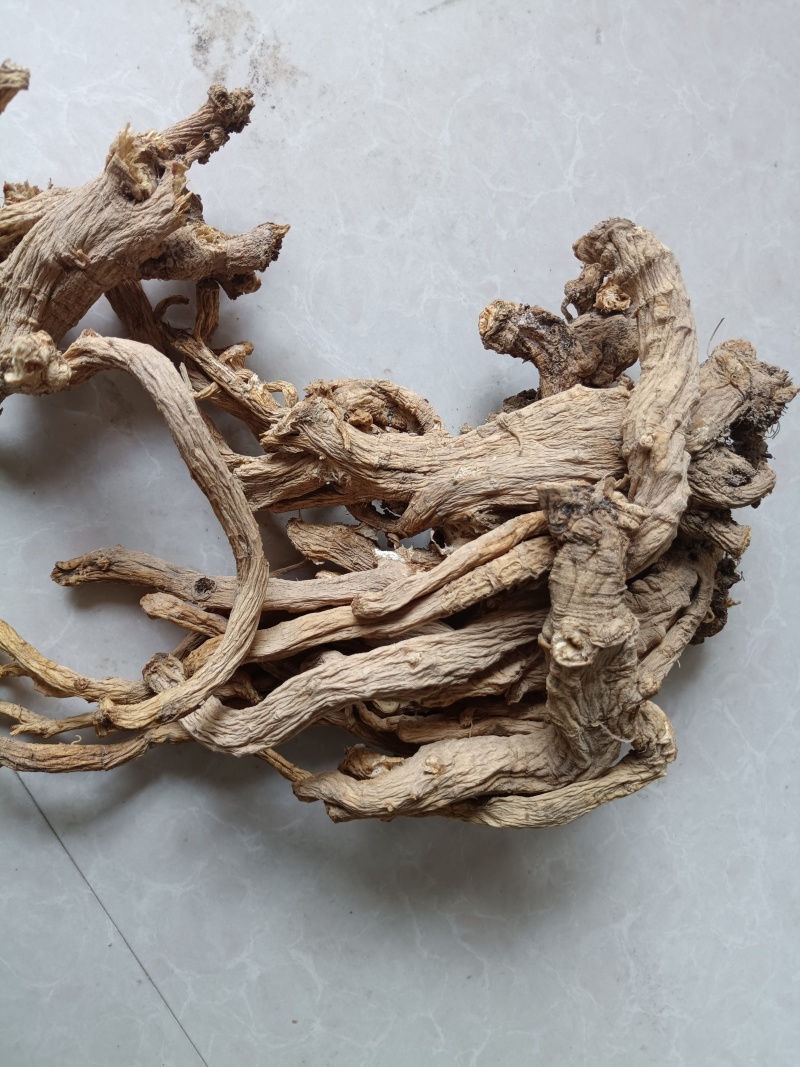 甘肃中药材防风