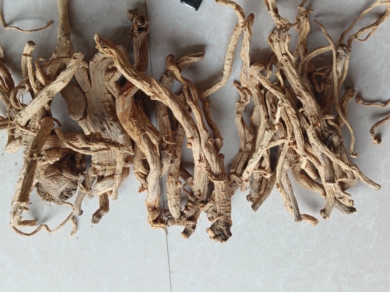甘肃中药材防风