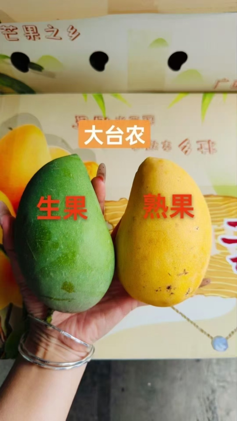 广西百色田东县芒果之乡，大台芒