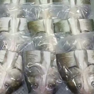 白鲢鱼头600-700g15个/箱