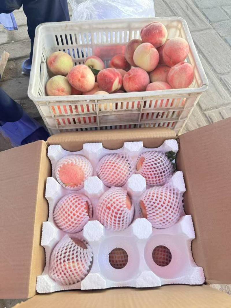 陕西水蜜桃