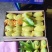 百色芒果