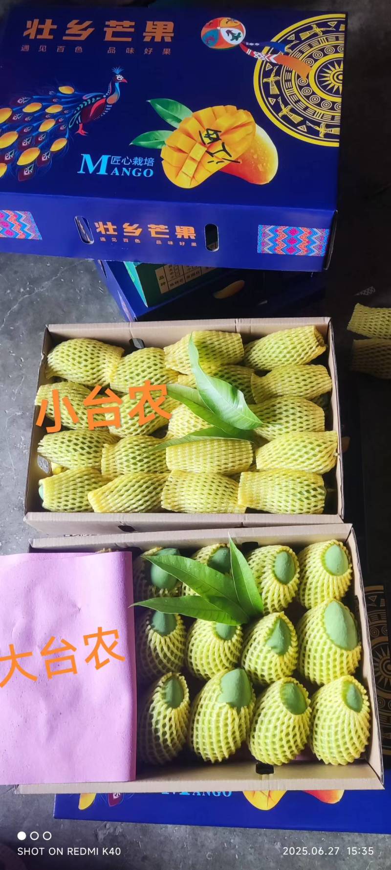 百色芒果