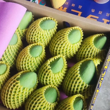 百色芒果
