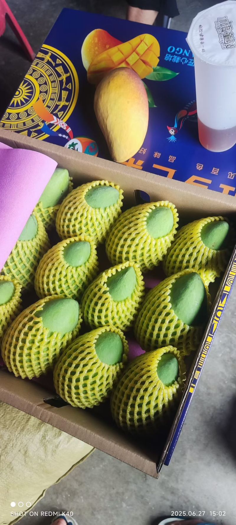 百色芒果