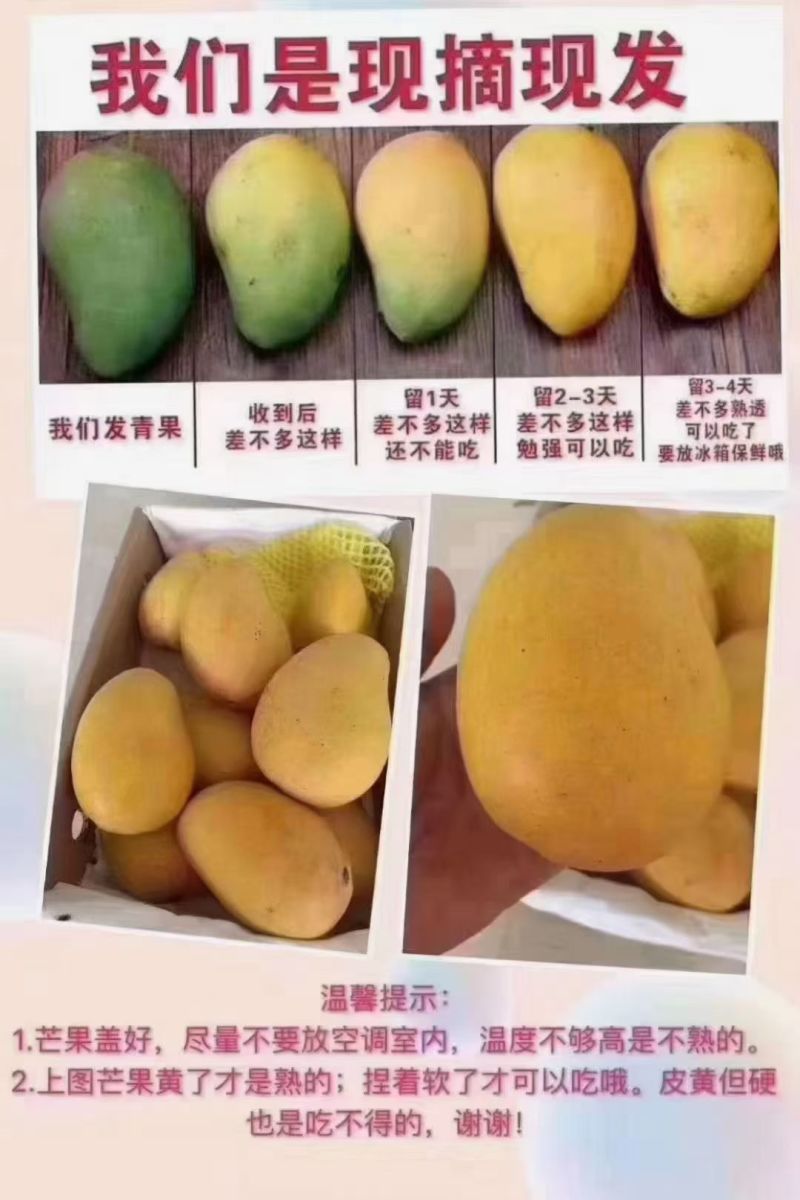 百色芒果
