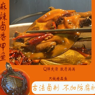麻辣卤甲鱼，麻辣鲜香，裙边Q弹软糯