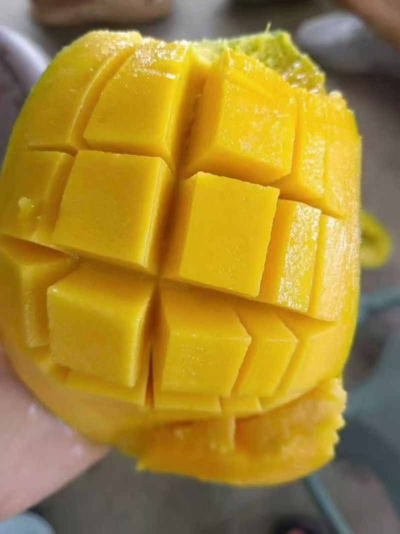 自家种的芒果，好品质肉眼可见，想找在宁波老板或者是批发商合作